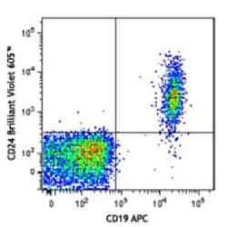 Biolegend Brilliant Violet 605 anti-human CD24, Quantity: Each of 1