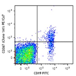 Biolegend PE/Cyanine7 anti-human CD267 (TACI), Quantity: Each of 1