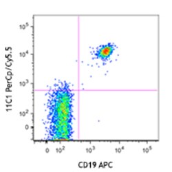 Biolegend PerCP/Cyanine5.5 anti-human CD268 (BAFF-R), Quantity: Each of
