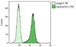 Biolegend Purified (azide-free) anti-Annexin A1, Quantity: Each of 1