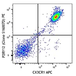 Biolegend PE anti-P2RY12, Quantity: Each of 1