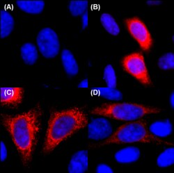 Biolegend Alexa Fluor 647 anti-6-His Epitope Tag, Quantity: Each of 1