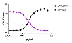 Biolegend Purified anti-SARS-CoV-2 S Protein S1 Recombinant, Quantity: