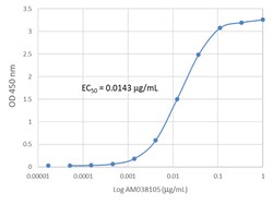Biolegend Purified anti-SARS-CoV-2 S Protein S1 Recombinant, Quantity: