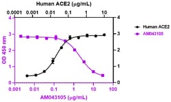 Biolegend Purified anti-SARS-CoV-2 S Protein S1 Recombinant, Quantity: