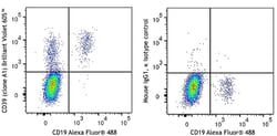 Biolegend Brilliant Violet 605 anti-human CD39, Quantity: Each of 1