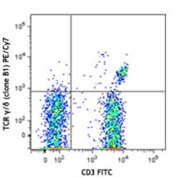 Biolegend PE/Cyanine7 anti-human TCR γ/δ, Quantity: Each of 1