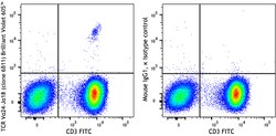 Biolegend Brilliant Violet 605 anti-human TCR Vα24-Jα18 (iNKT cell), Quantity: