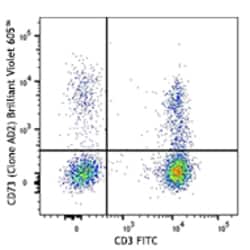 Biolegend Brilliant Violet 605 anti-human CD73 (Ecto-5'-nucleotidase),
