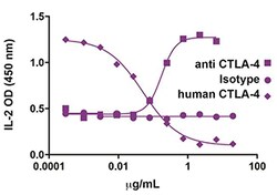Biolegend GoInVivo Purified anti-human CD152 (CTLA-4), Quantity: Each of