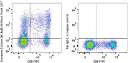 Biolegend Brilliant Violet 421 anti-human/mouse Granzyme B Recombinant,