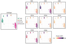 Biolegend TotalSeq -DHuman Heme Oncology Cocktail, V1.0, Quantity: Each