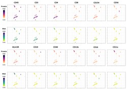 Biolegend TotalSeq -AHuman Universal Cocktail, V1.0, Quantity: Each of