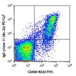 Biolegend PE/Cyanine7 anti-mouse IgD, Quantity: Each of 1