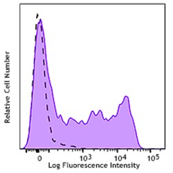 Biolegend PerCP/Cyanine5.5 anti-rat IgM [MRM-47]; Isotype: Mouse IgG; Reactivity: