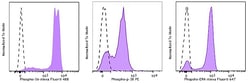 Biolegend Veri-Cells Phospho PBMC (MAPK/ERK Pathway), Quantity: Each of