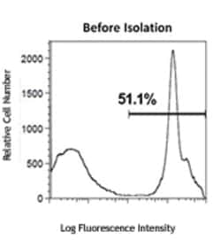 Biolegend MojoSort Mouse CD19 Nanobeads, Quantity: Each of 1