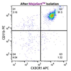 Biolegend&nbsp;MojoSort&trade; Mouse CX3CR1 Selection Kit
