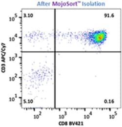 Biolegend MojoSort Human CD8 Memory T Cell Isolation Kit, Quantity: Each