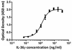 Biolegend Recombinant Mouse IL-36γ (carrier-free), Quantity: Each of 1