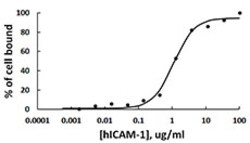 Biolegend Recombinant Human ICAM-1-Fc Chimera (carrier-free), Quantity: