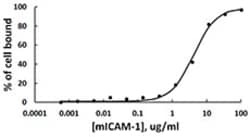 Biolegend Recombinant Mouse ICAM-1-Fc Chimera (carrier-free), Quantity: