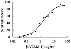 Biolegend Recombinant Human VCAM-1-Fc Chimera (carrier-free), Quantity: