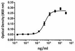 Biolegend Recombinant Mouse IL-36β (carrier-free), Quantity: Each of 1
