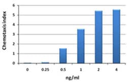 Biolegend Recombinant Mouse CCL4 (MIP-1β) (carrier-free), Quantity: Each