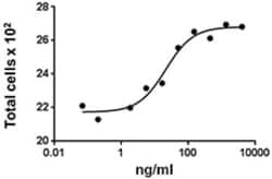 Biolegend Recombinant Human FAS (TNFRSF6)-Fc Chimera (carrier-free), Quantity: