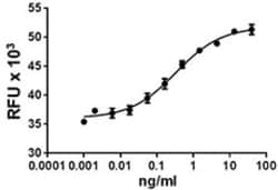 Biolegend Recombinant Human Oncostatin M (carrier-free), Quantity: Each