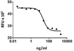 Biolegend Recombinant Human VEGFR1 (carrier-free), Quantity: Each of 1