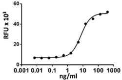 Biolegend Recombinant Rat M-CSF (carrier-free), Quantity: Each of 1