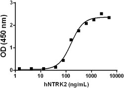 Biolegend Recombinant Human NTRK2 (TrkB) (carrier-free), Quantity: Each