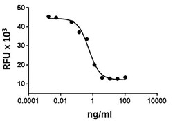 Biolegend Recombinant Rat EGF (carrier-free), Quantity: Each of 1