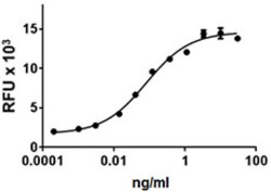 Biolegend Recombinant Human Prolactin (carrier-free), Quantity: Each of