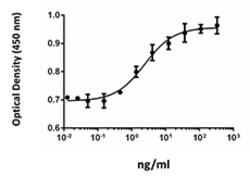 Biolegend Recombinant Human FGF-10 (carrier-free), Quantity: Each of 1