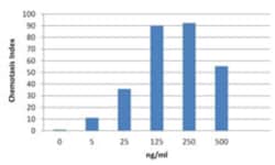 Biolegend Recombinant Mouse CXCL11 (ITAC) (carrier-free), Quantity: Each
