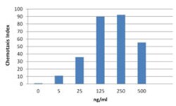 Biolegend Recombinant Mouse CXCL11 (ITAC) (carrier-free), Quantity: Each
