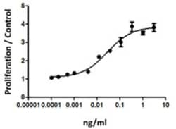 Biolegend Recombinant Human G-CSF (carrier-free), Quantity: Each of 1
