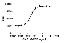 Biolegend GMP Recombinant Human G-CSF (carrier-free), Quantity: Each of