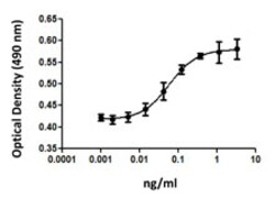 Biolegend Recombinant Mouse IL-5 (carrier-free), Quantity: Each of 1