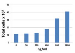 Biolegend Recombinant Mouse CCL8 (MCP-2) (carrier-free), Quantity: Each
