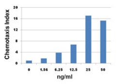 Biolegend Recombinant Human CXCL2 (Groβ) (carrier-free), Quantity: Each