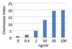 Biolegend Recombinant Mouse CCL11 (Eotaxin) (carrier-free), Quantity: Each