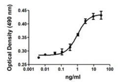 Biolegend Recombinant Human VEGF-121 (carrier-free), Quantity: Each of