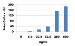 Biolegend Recombinant Mouse CX3CL1 (Fractalkine) (carrier-free), Quantity: