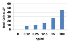 Biolegend Recombinant Human CCL27 (CTACK) (carrier-free), Quantity: Each