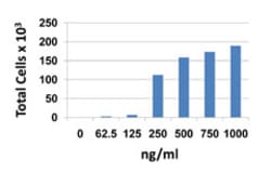 Biolegend Recombinant Mouse CXCL13 (carrier-free), Quantity: Each of 1