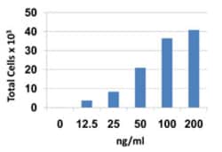 Biolegend Recombinant Human CCL28 (MEC) (carrier-free), Quantity: Each